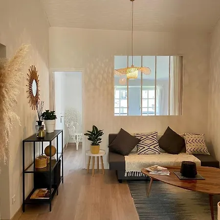 Appartement Aux Pieds Du Palais Des Papes. Avignone Esterno foto