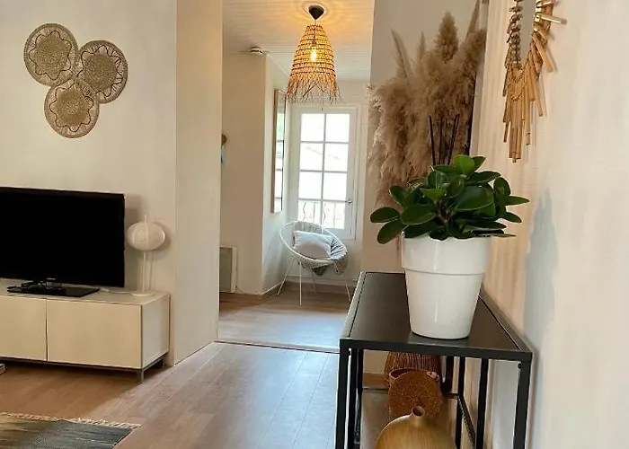 Appartement Aux Pieds Du Palais Des Papes.