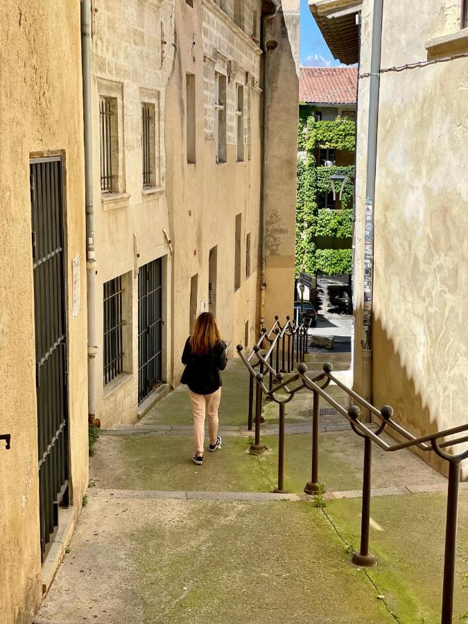 Aux Pieds Du Palais Des Papes. Apartment Avignon